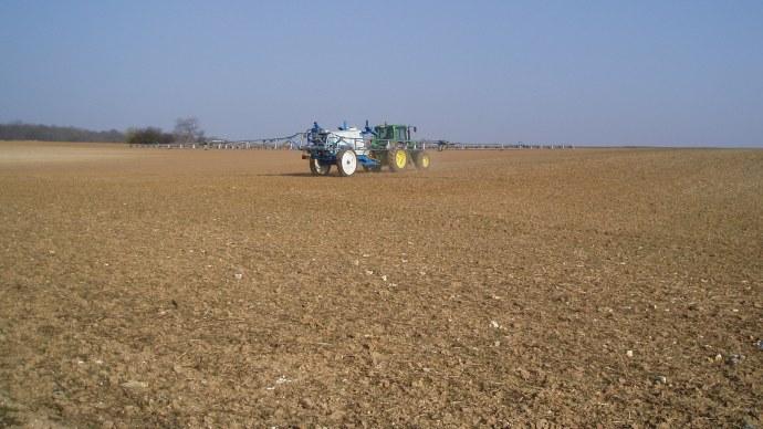 Fertilisation du blé.