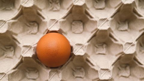 Les organisations justifient leur départ par un désaccord sur le fonctionnement de la gouvernance du CNPO.