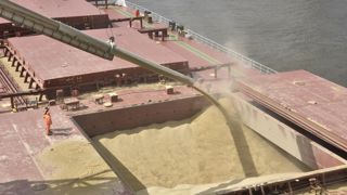 En 2024-2025, Haropa Port (groupement des ports du Havre, de Rouen et de Paris) a exporté 3,21 millions de tonnes de blé. En 2024-2025, Haropa Port (groupement des ports du Havre, de Rouen et de Paris) a exporté 3,21 millions de tonnes de blé.