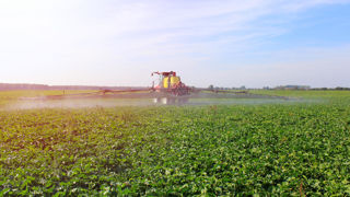 La question des dérogations sur les produits phytosanitaires est l'un des principaux points de tensions autour de la loi Duplomb. La question des dérogations sur les produits phytosanitaires est l'un des principaux points de tensions autour de la loi Duplomb.