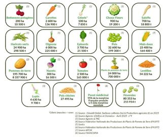 Les filières engagées dans le projet 1er Decclic Les filières engagées dans le projet 1er Decclic