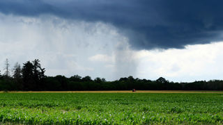 La chaleur fait un court retour sur le pays avant l'arrivée d'averses et d'orages pour le week-end du 14 juillet 2025, prévoit Météo-France. La chaleur fait un court retour sur le pays avant l'arrivée d'averses et d'orages pour le week-end du 14 juillet 2025, prévoit Météo-France.