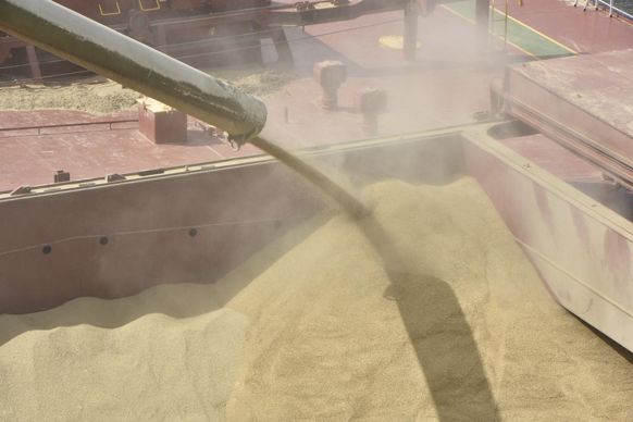 Les agriculteurs attendent de meilleurs prix pour vendre leur récolte de céréales