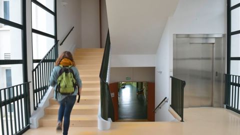 En 2025, 88,5 % des élèves de l'enseignement agricole ont été admis à leur examen. En 2025, 88,5 % des élèves de l'enseignement agricole ont été admis à leur examen.