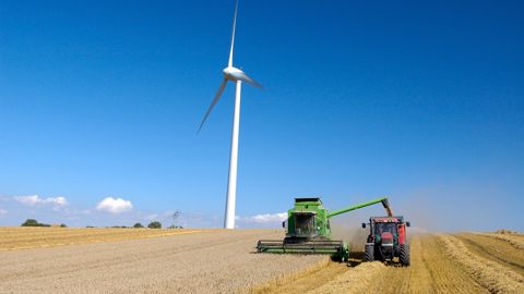 Agreste publie ses estimations de rendements en blé tendre pour la moisson 2025.