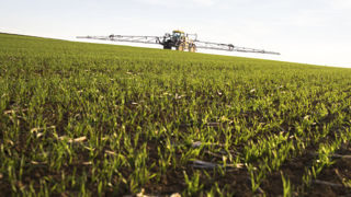 Deux ONG européennes demandent à raccourcir sensiblement le délai d’usage des herbicides à base de flufénacet, actuellement fixé au 10 décembre 2026, pour en empêcher l’usage avant l’automne 2025. Deux ONG européennes demandent à raccourcir sensiblement le délai d’usage des herbicides à base de flufénacet, actuellement fixé au 10 décembre 2026, pour en empêcher l’usage avant l’automne 2025.