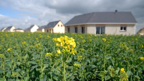 Une note du Haut Commissariat à la stratégie et au plan étudie comment, sur le terrain, les collectivités concilient sobriété foncière et autres impératifs.