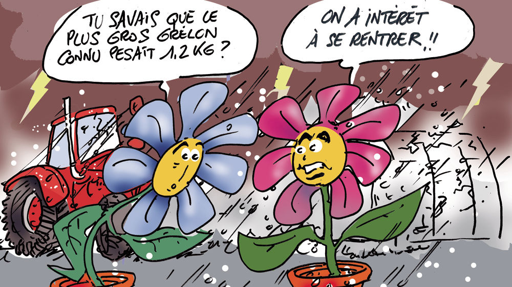 Les orages de grêle sont souvent imprévisibles...