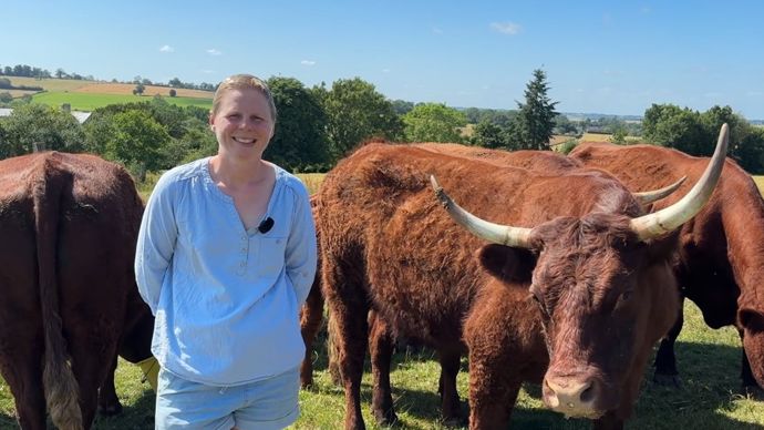 Avec des animaux loin du siège d'exploitation pendant la période estivale, Emilie Massu mise sur des vaches rustiques et autonomes.
