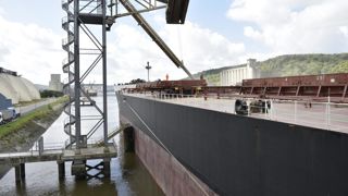 Selon les premières projections de FranceAgriMer, présentées le 16 juillet 2025, les exportations de blé tendre français reprendraient fortement du terrain en 2025-2026, par rapport à la campagne précédente. Selon les premières projections de FranceAgriMer, présentées le 16 juillet 2025, les exportations de blé tendre français reprendraient fortement du terrain en 2025-2026, par rapport à la campagne précédente.