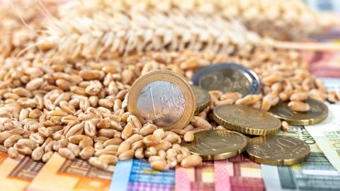 Les trésoreries restent fragiles… et « les prix ne sont pas là », souligne Benoît Piètrement. Les trésoreries restent fragiles… et « les prix ne sont pas là », souligne Benoît Piètrement.