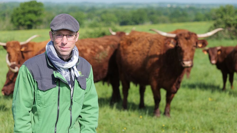 SODI Patur’ail : une solution naturelle pour limiter la pression des insectes