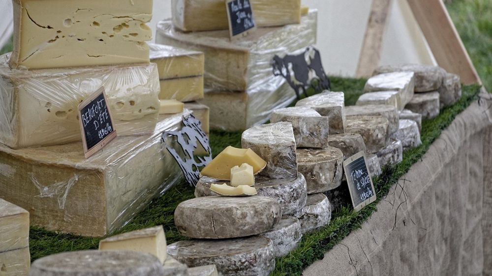 Un arrêté préfectoral instaure « l'obligation de détruire les produits laitiers dans les 28 derniers jours de fabrication » précédant la détection d'un cas de DNC dans un élevage bovin.