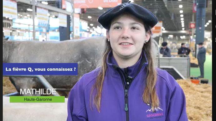 [Quiz] Avortements, non-délivrances, métrites… et si c’était la fièvre Q ?