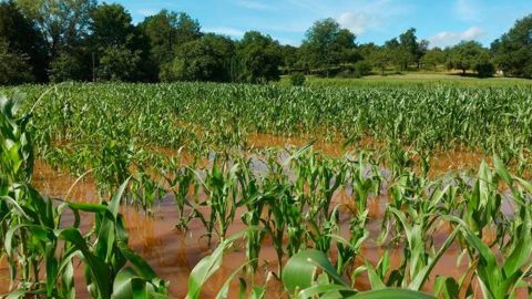 7 agriculteurs sur 10 sont inquiets face au changement climatique.