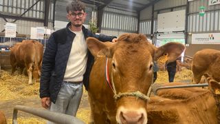 Armand Hérisson, 23 ans, a remporté le premier prix de championne jeune femelle et du meilleur animal de la race limousine avec sa vache Tulipe, au Space 2024 (Rennes). Armand Hérisson, 23 ans, a remporté le premier prix de championne jeune femelle et du meilleur animal de la race limousine avec sa vache Tulipe, au Space 2024 (Rennes).