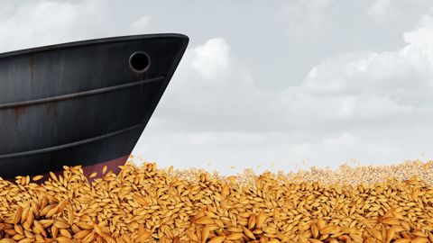 Malgré la libéralisation des échanges agricoles, l'insécurité alimentaire persiste dans le monde