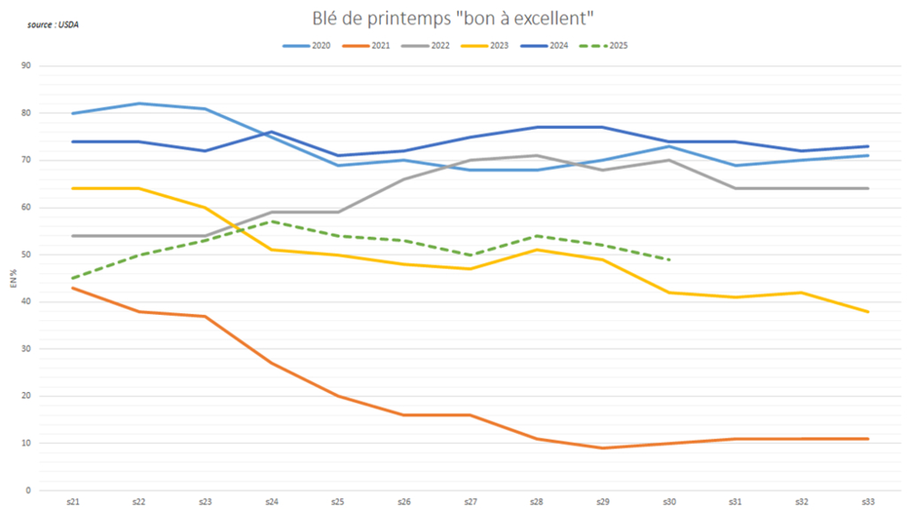 Les notations de blé de printemps par l'USDA se dégradent progressivement.