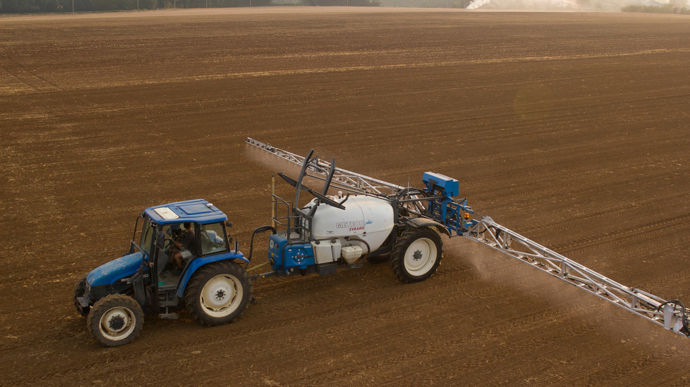 Des clefs pour contrer les ray-grass et vulpins sur colza