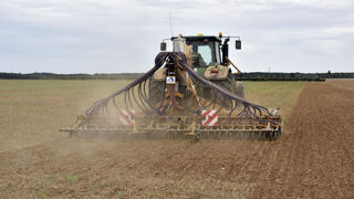Le semis précoce du colza dans un sol trop sec sans perspectives de pluies prochaines est compromis. Le semis précoce du colza dans un sol trop sec sans perspectives de pluies prochaines est compromis.