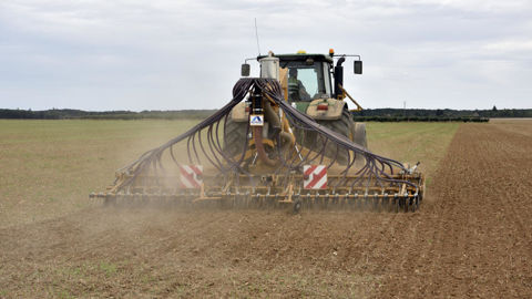 Le semis précoce du colza dans un sol trop sec sans perspectives de pluies prochaines est compromis. Le semis précoce du colza dans un sol trop sec sans perspectives de pluies prochaines est compromis.