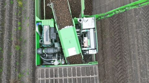 AVR mesure la taille des pommes de terre sur l'arracheuse Puma 4.0, sans compter les cailloux et les mottes de terre.