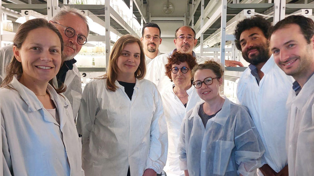 L’association ALCIV² a été fondée par huit entreprises représentatives de la diversité des applications de la culture in vitro en France.