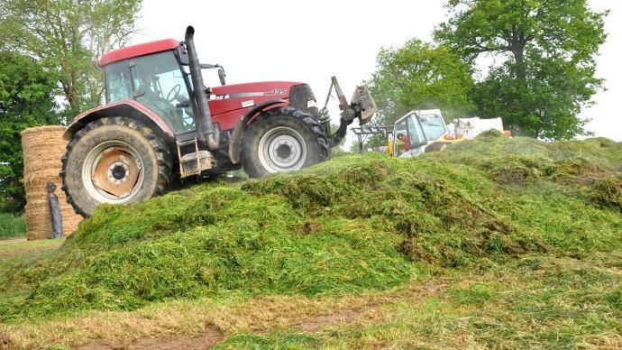 ensilage d'herbe