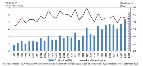 Rendement et production de pommes de terre de conservation et demi-saison de 1995 à 2025