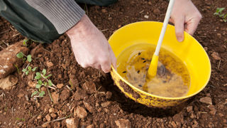 Il est recommandé de relever au minimum les cuvettes jaunes une fois par semaine et de renouveler l’eau régulièrement. Il est recommandé de relever au minimum les cuvettes jaunes une fois par semaine et de renouveler l’eau régulièrement.