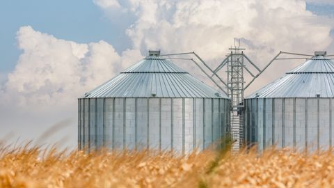 37,5 % des répondants au sondage de Terre-net n’ont encore engagé aucun de leurs volumes de blé tendre issus de la moisson 2025.