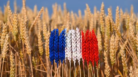 Pour le CCFD Terre solidaire, la France instrumentalise le concept de souveraineté alimentaire, au détriment des pays du Sud Pour le CCFD Terre solidaire, la France instrumentalise le concept de souveraineté alimentaire, au détriment des pays du Sud