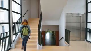 Une nouvelle formation agricole devrait voir le jour à la rentrée de 2026 : un bachelor agro. Une nouvelle formation agricole devrait voir le jour à la rentrée de 2026 : un bachelor agro.