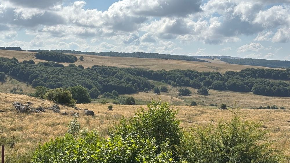 Paysage Aveyron été 2025