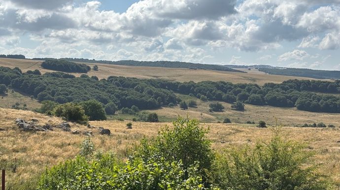 Les sols sont restés plus secs que la normale tout au long de
l’été, a expliqué Météo France dans son bilan climatique.