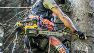 La tronçonneuse DCMCST635 fait partie de la gamme des outils de 54 V. En fonction de son guide de coupe, elle peut être affectée aux interventions des élagueurs ou aux coupes d'ébranchage au sol.