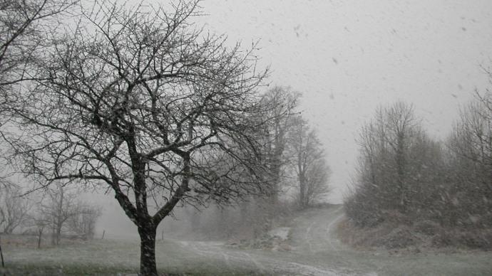 Neige et froid.