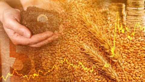 La récolte 2025 va engendrer un déficit pour les producteurs de grandes cultures, selon Sylvain Jessionnesse, agriculteur et fondateur de Piloter sa ferme.