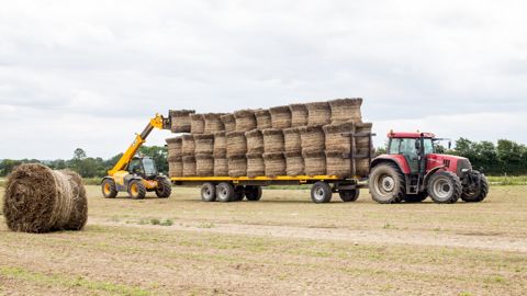 Les deux coopératives font part de disparités de rendements en lin fibre. Certains secteurs ont été plus impactés par le manque d'eau.