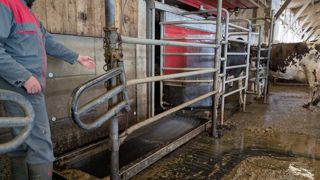 Une fréquence de passage régulière et des pieds propres rendent le pédiluve plus efficace. Une fréquence de passage régulière et des pieds propres rendent le pédiluve plus efficace.
