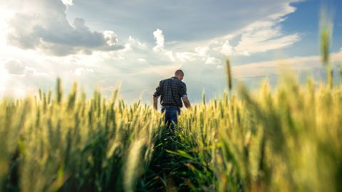 L’automne tournant stratégique pour sécuriser votre désherbage et vos rendements