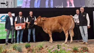 Ubelle remporte le prix de la meilleure jeune femelle de qualité bouchère, qui met en avant la capacité à produire de la viande. Elle appartient à Jean-Jacques Bros, installé en Corrèze. Ubelle remporte le prix de la meilleure jeune femelle de qualité bouchère, qui met en avant la capacité à produire de la viande. Elle appartient à Jean-Jacques Bros, installé en Corrèze.