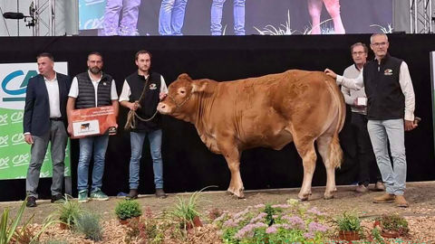 Ubelle remporte le prix de la meilleure jeune femelle de qualité bouchère, qui met en avant la capacité à produire de la viande. Elle appartient à Jean-Jacques Bros, installé en Corrèze.