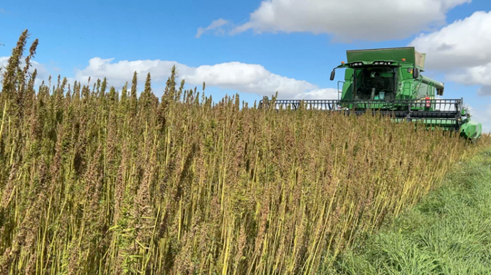 La Chanvrière compte 750 adhérents, répartis dans un rayon de 120 km autour de l’usine de Saint-Lyé (Aube), et qui cultivent et moissonnent près de 13 000 ha.
