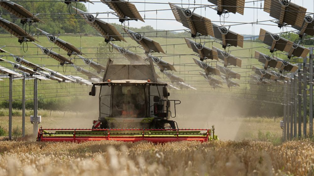 L'agrivoltaïsme, une réponse aux aléas du climat