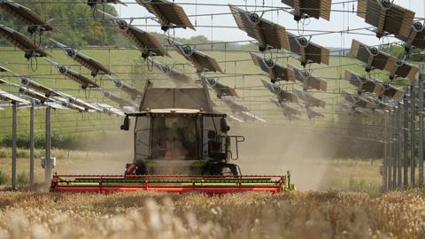 L'agrivoltaïsme, une réponse aux aléas du climat