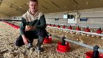 Julien Thexier, jeune éleveur de volailles dans le Morbihan dans l'un de ses bâtiments rénovés.