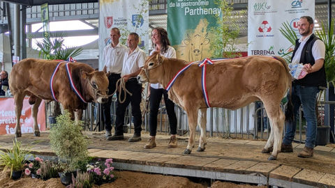 Valide et Versaille remportent les grands prix de jeunes mâle et femelle espoir.