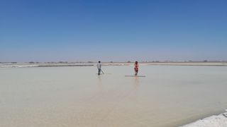 Des Agariyas travaillent dans les marais salants de LRK, au Gujarat. Ils ratissent ici le sel cristallisé, un processus exigeant en main-d'œuvre et impliquant des sauniers, hommes et femmes. Des Agariyas travaillent dans les marais salants de LRK, au Gujarat. Ils ratissent ici le sel cristallisé, un processus exigeant en main-d'œuvre et impliquant des sauniers, hommes et femmes.