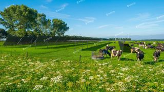 Appuyez-vous sur une équipe d'agronomes pour votre projet agrivoltaïque